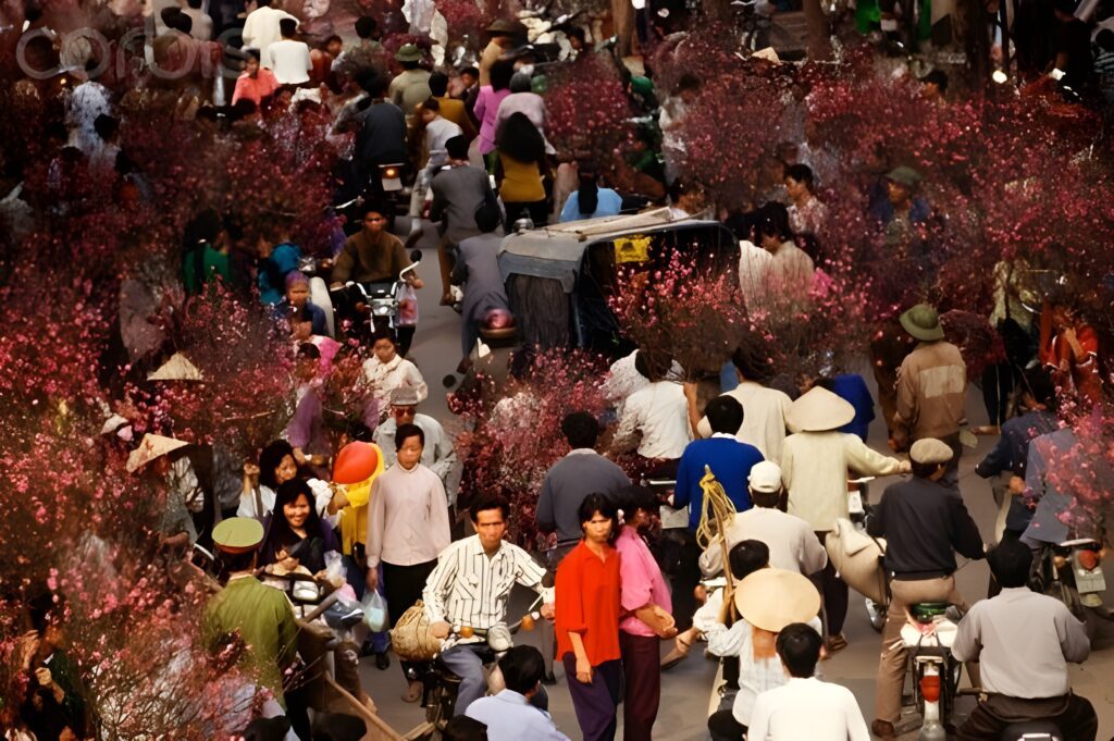 8 loài hoa đem lại may mắn - Mua hoa ngày tết