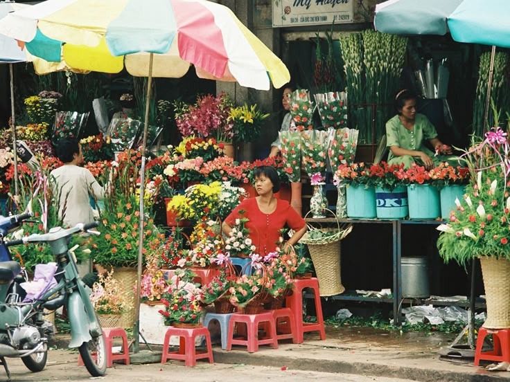 8 loài hoa đem lại may mắn - Mua hoa ngày rằm