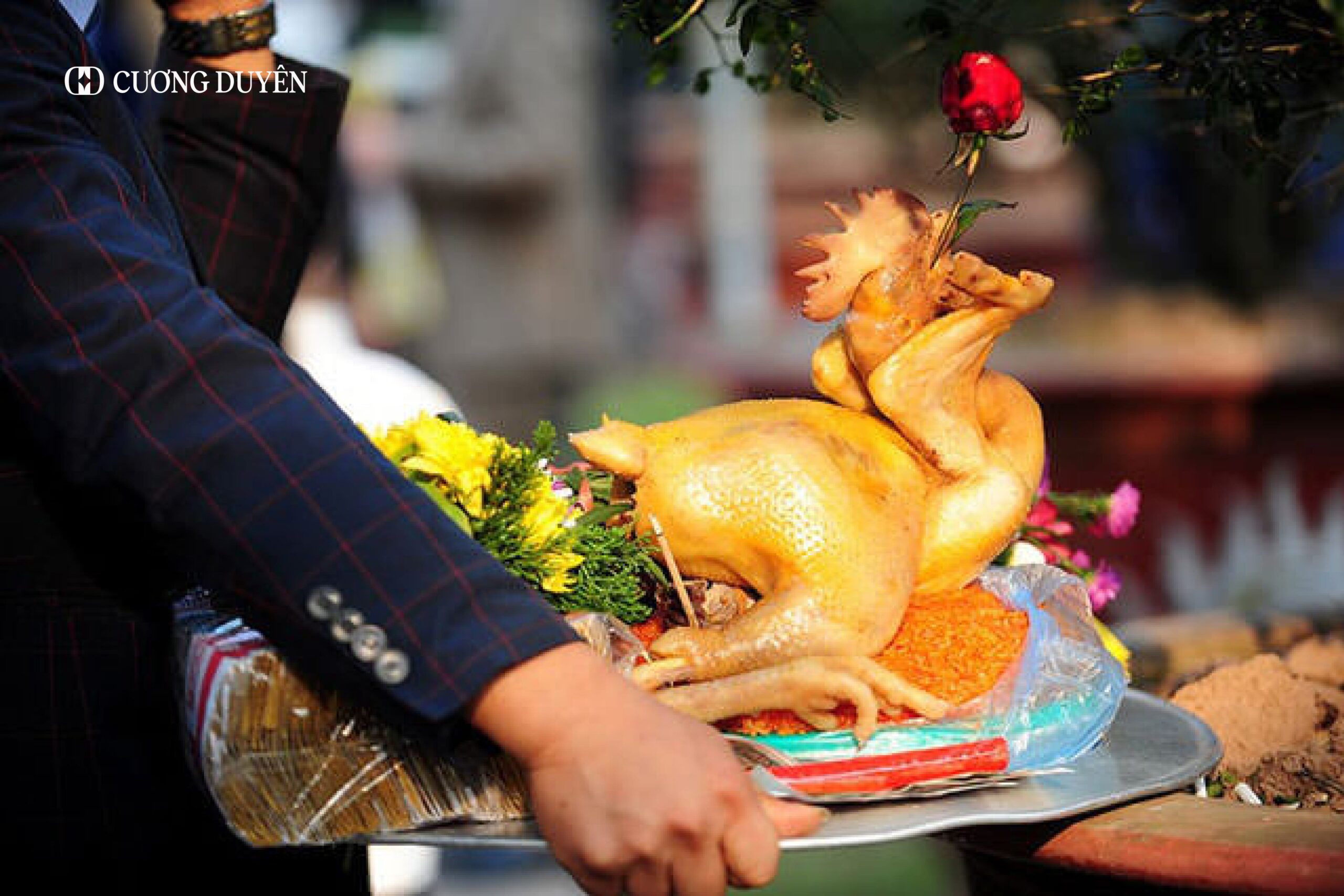 gà cúng giao thừa quay đầu ra hay vào