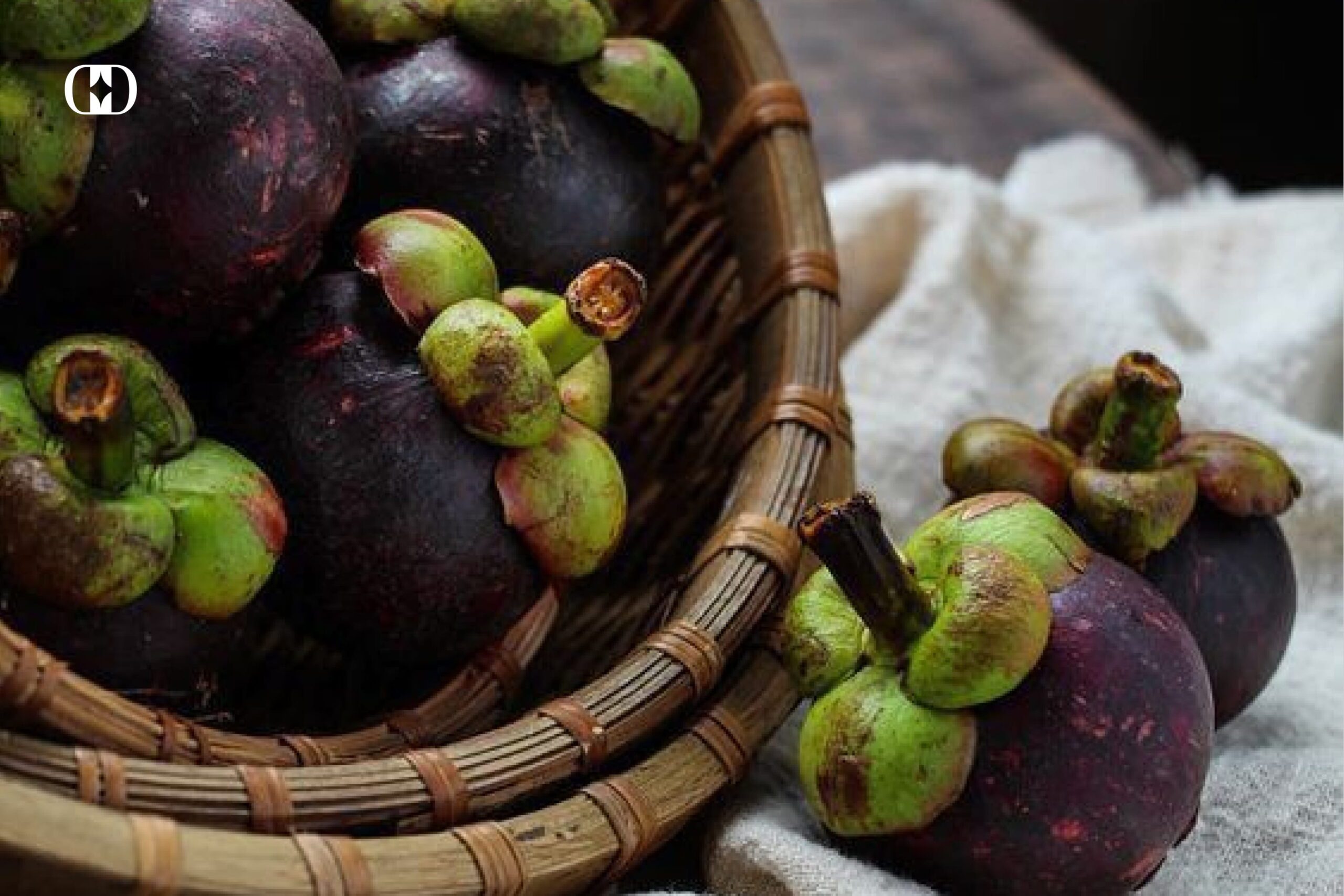 Không nên thắp hương măng cụt